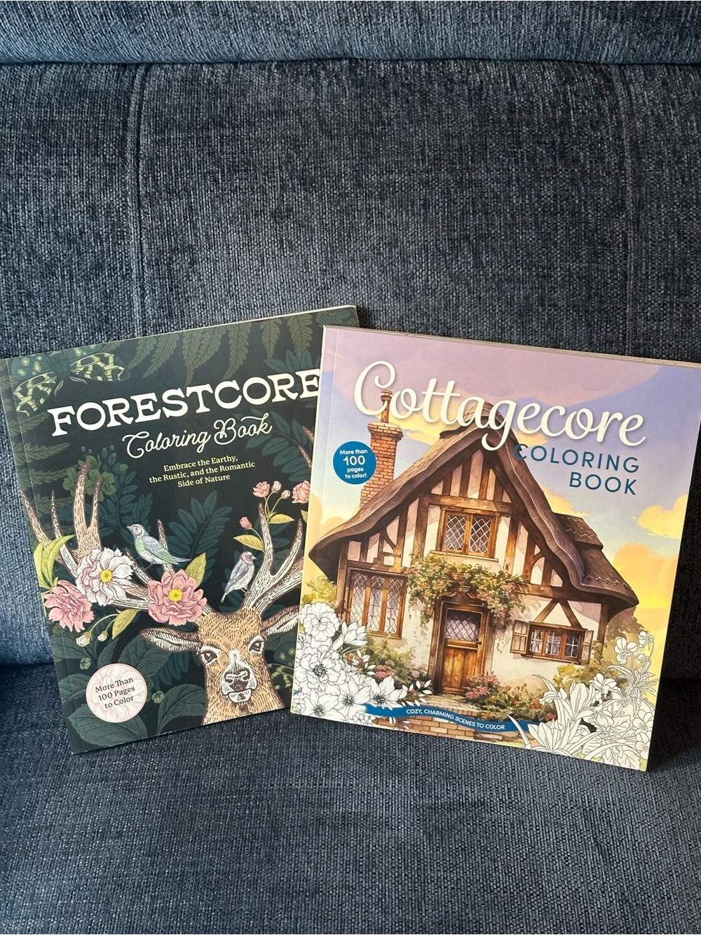 Forestcore & Cottagecore set of 2 adult coloring books